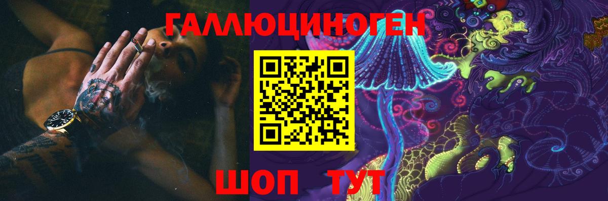 Анжеро-Судженск  Псилоцибиновые грибы прущие грибы  Вход с VPN  Галлюциногенные грибы Psilocybine cubensis 